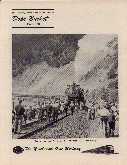dope56bt.jpg (4775 bytes)